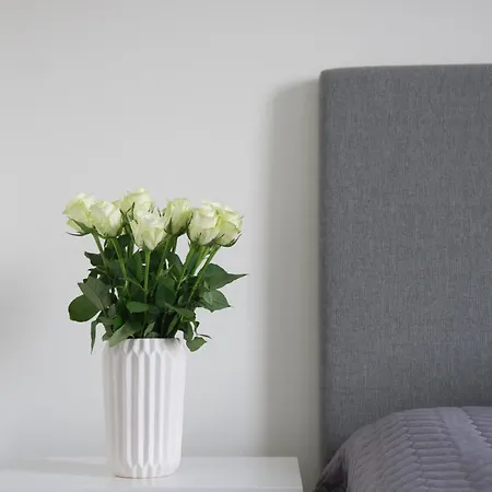 Lovely 2r Apartment, Parking 公寓 奥卢